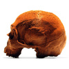 Lifesize Anatomically Correct 100% Chocolate Human Skulls