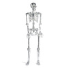 Lifesize Chrome Skeleton
