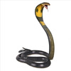 Lifesize King Cobra Snake Statue