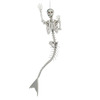 Lifesize Mermaid Skeleton - Over 6 Feet Long!