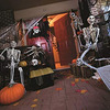 Lifesize Mermaid Skeleton - Over 6 Feet Long!