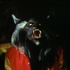 Lifesize Michael Jackson's Thriller Werewolf
