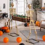Lifesize Posable Skeletons Carrying a Coffin / Beverage Tub