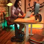 LifeSpan Ampera Desk Bike