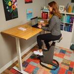 LifeSpan Ampera Desk Bike