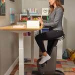 LifeSpan Ampera Desk Bike