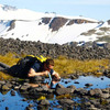 LifeStraw - Personal Water Filter