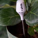Light Up Plant Moisture Meter - Alerts When Plants are Thirsty