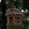 Lighted Cedar Gazebo Bird Feeder