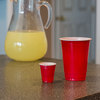 Lil' Reds - Red Party Cup Shot Glasses