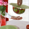 Lily Pad Lids - Airtight, Watertight, and Reusable Silicone Lids