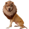 Lion Mane Dog Costume