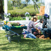 Little Burro Wheelbarrow Organizer