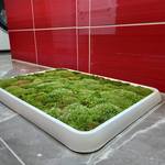 Live Green Moss Bath Mat
