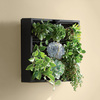 Living Art Green Wall / Tabletop Planter