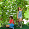 Living Garden Fort