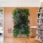Living Plant Wall Hanging Plant Pockets