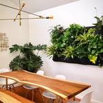 Living Plant Wall Hanging Plant Pockets