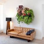 Living Plant Wall Hanging Plant Pockets
