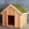 Living Roof Dog House