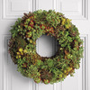 Living Succulent Wreath