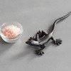 Lizard Salt Pincher