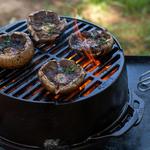 Lodge Portable Cast Iron Kickoff Grill
