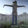 Looming Strawman - Scary Lifesize Animatronic Lunging Scarecrow