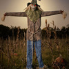 Looming Strawman - Scary Lifesize Animatronic Lunging Scarecrow