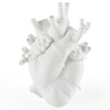 Love in Bloom - Anatomically-Correct Heart Vase