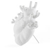 Love in Bloom - Anatomically-Correct Heart Vase