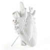 Love in Bloom - Anatomically-Correct Heart Vase