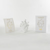 Love in Bloom - Anatomically-Correct Heart Vase