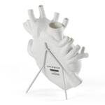 Love in Bloom - Anatomically-Correct Human Heart Vase