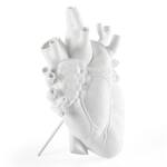 Love in Bloom - Anatomically-Correct Human Heart Vase