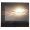 LUCID Mirrors - Magical Illuminated 3D Nature Mirrors