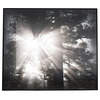 LUCID Mirrors - Magical Illuminated 3D Nature Mirrors