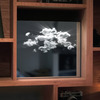 LUCID Mirrors - Magical Illuminated 3D Nature Mirrors