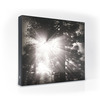 LUCID Mirrors - Magical Illuminated 3D Nature Mirrors