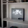 LUCID Mirrors - Magical Illuminated 3D Nature Mirrors