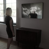 LUCID Mirrors - Magical Illuminated 3D Nature Mirrors