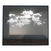 LUCID Mirrors - Magical Illuminated 3D Nature Mirrors