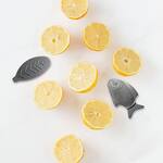Lucky Iron Fish - Fortifies Foods and Water With Nutritional Iron