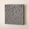 Lunar Surface Wall Sculpture