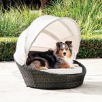 Luxurious Outdoor Dog Bed With Canopy