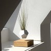 Lyfe Zero-Gravity Planter - Levitates Plants in Mid-Air