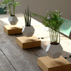 Lyfe Zero-Gravity Planter - Levitates Plants in Mid-Air