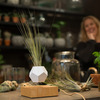 Lyfe Zero-Gravity Planter - Levitates Plants in Mid-Air