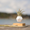 Lyfe Zero-Gravity Planter - Levitates Plants in Mid-Air