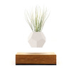 Lyfe Zero-Gravity Planter - Levitates Plants in Mid-Air